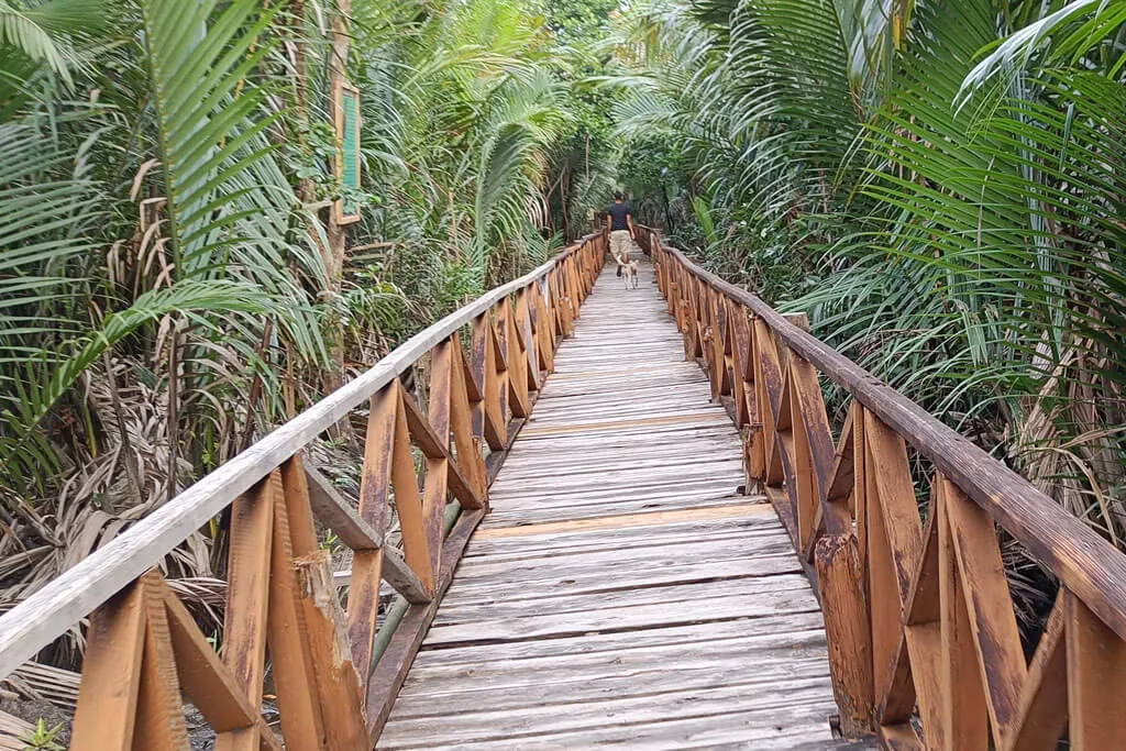 Dhani Nallah Mangrove Walkway