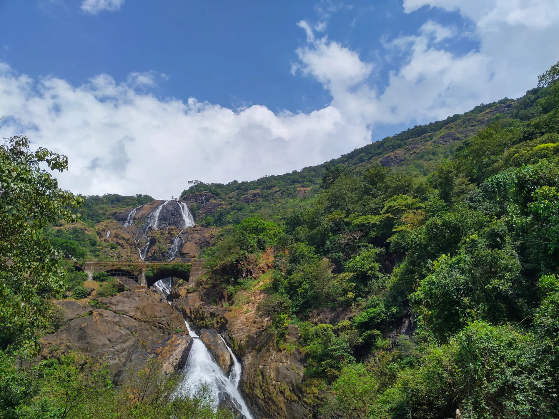 Dudhsagar falls dropping through forest, the railway viaduct crossing below the upper cascade