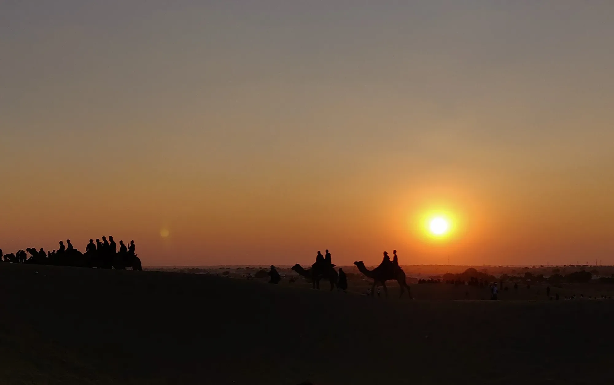 Camel silhouettes strung across dunes against a low sun