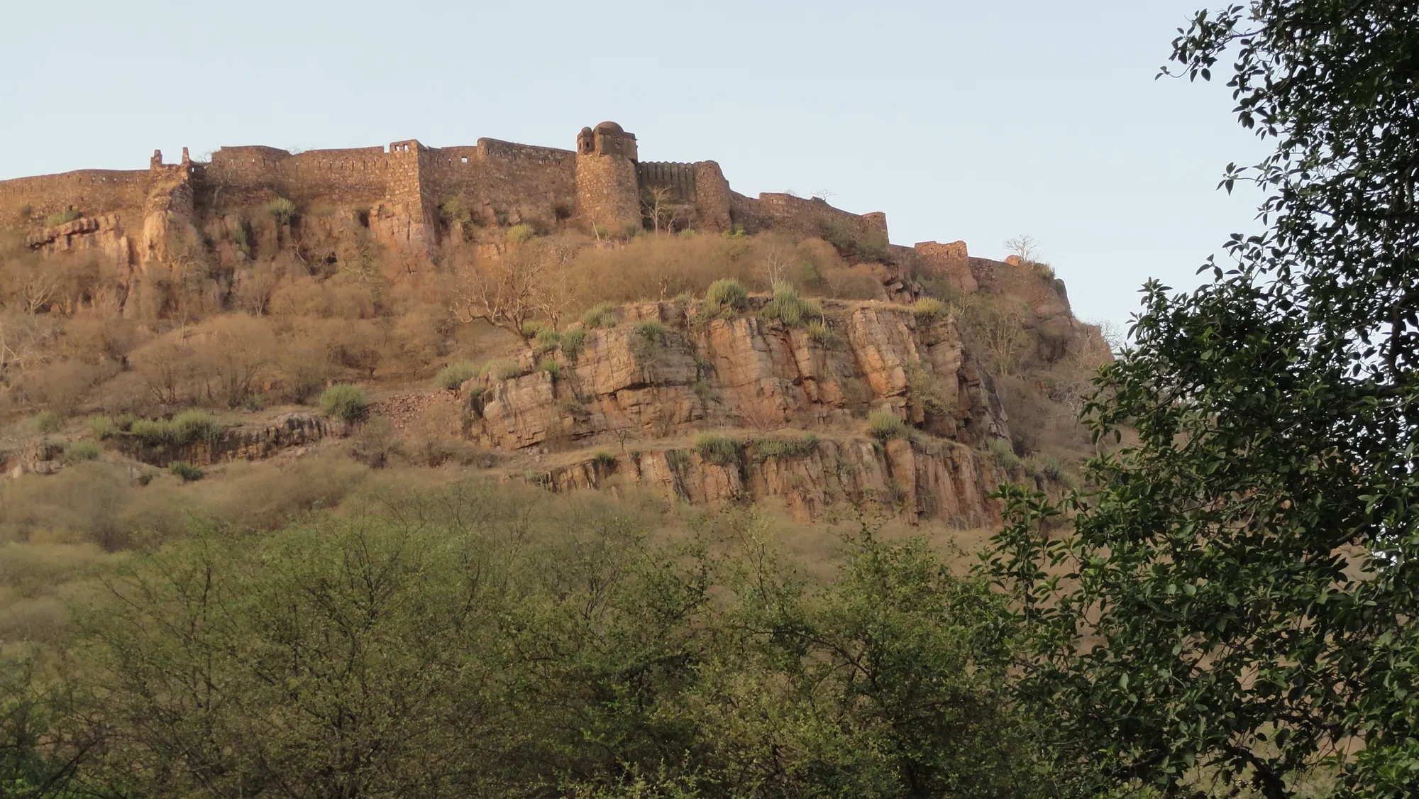 Ranthambore Fort on its cliff above the forest of the reserve