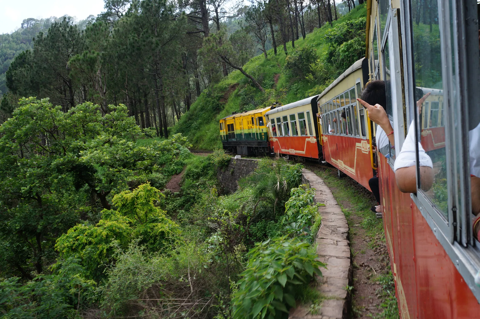 A narrow gauge train curving through forested hills